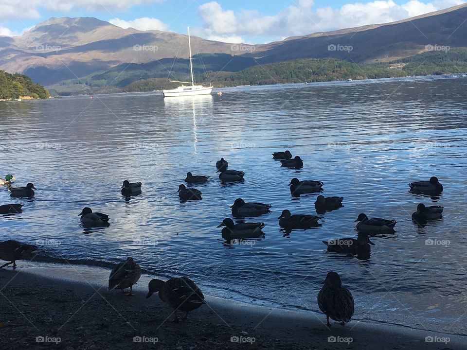 Loch Lomond 