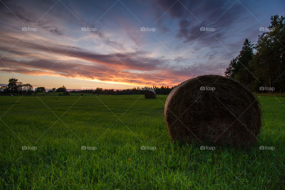 Hay on grassy land at sunset