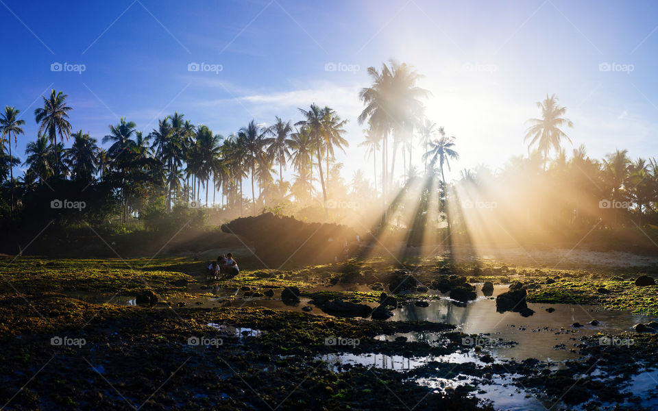 Tropical Morning Rays. I took this shot in Camotes Island in the Philippines while strolling at the tidal flats. A local fisherman was burning some dried coconut leaves ang producing a lot of smoke which adds a more dramatic look on the landscape.