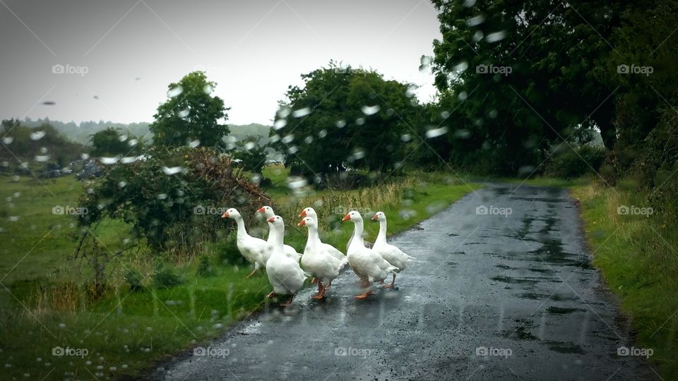 A (rainy) day in Ireland