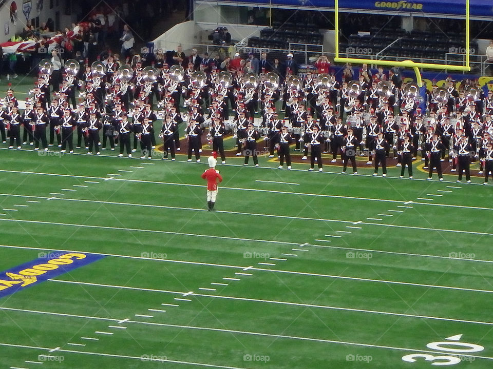 Ohio State Buckeyes band