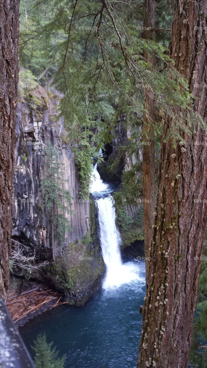 Toketee Falls