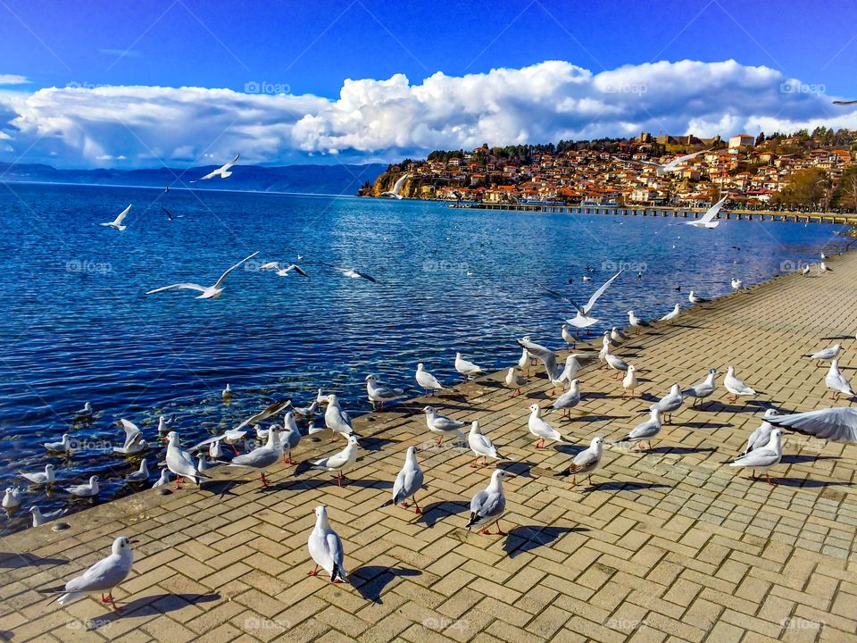 The view in Ohrid Lake