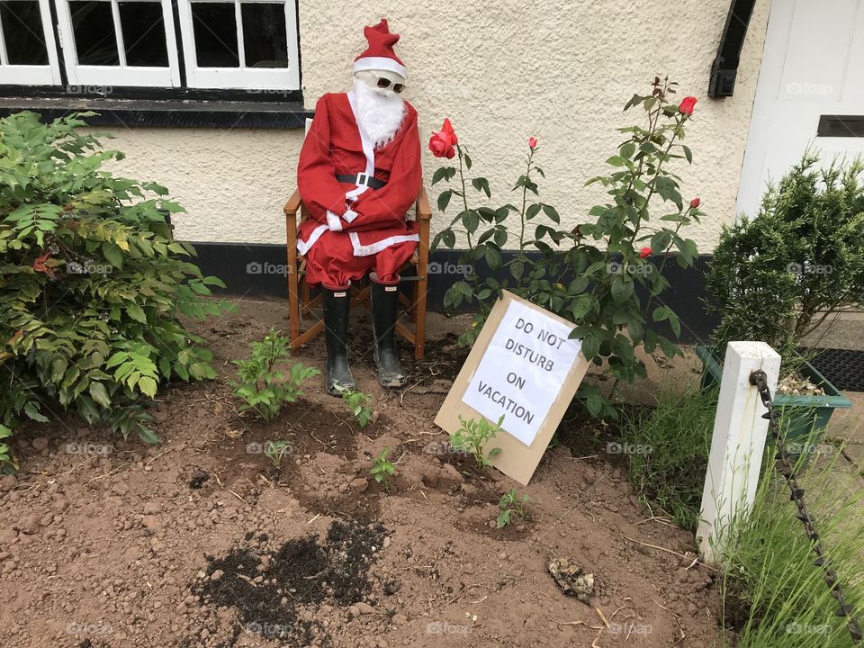 How often do we get to site father Xmas in June, however here he is in June, albeit made of straw and a scarecrow.