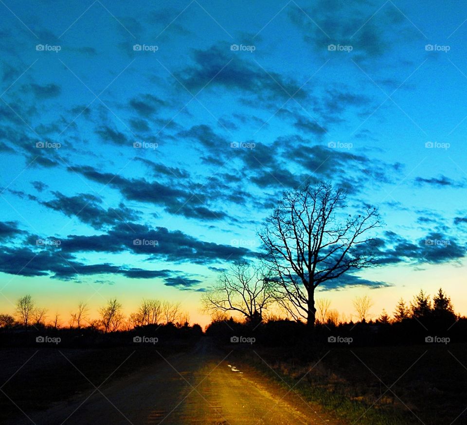 country dirt road at sundown with tree silhouette against blue evening sky