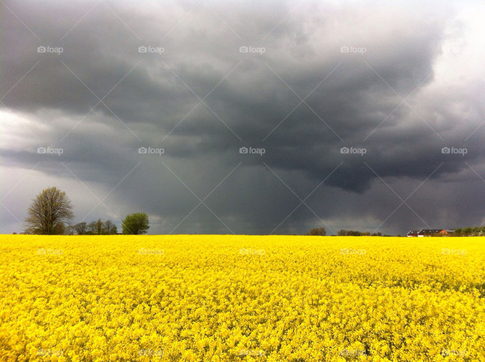 sweden moln vellinge regn by noel_