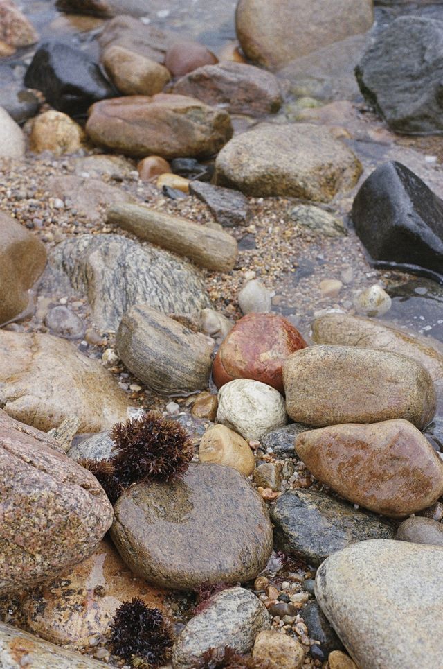 Montauk Sea Rocks