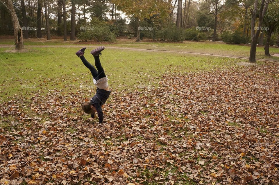 Cartwheels in the Fall 