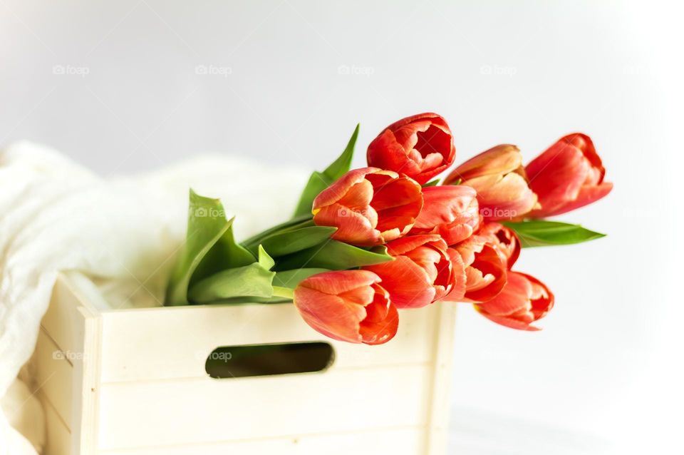 Fresh cut red tulips in a wood crate with white scarf 