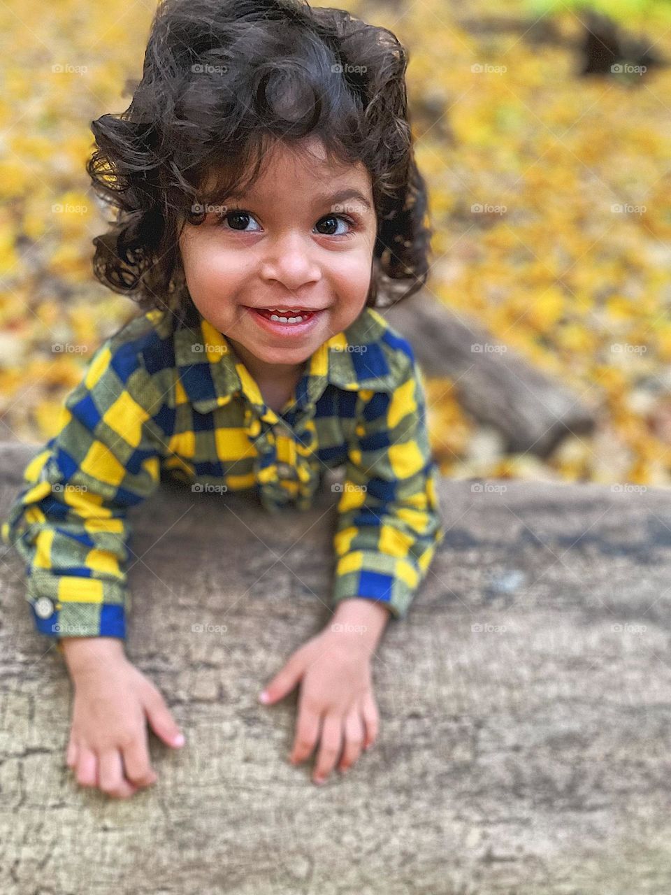 Cute toddler girl plays in the woods in the autumn, yellow leaves make the perfect portrait backdrop, smartphone portrait photography, toddler girl smiles for portrait in the forest, Michigan forest in the fall time