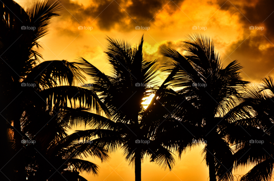 jamaica beach sky sunset by piet05