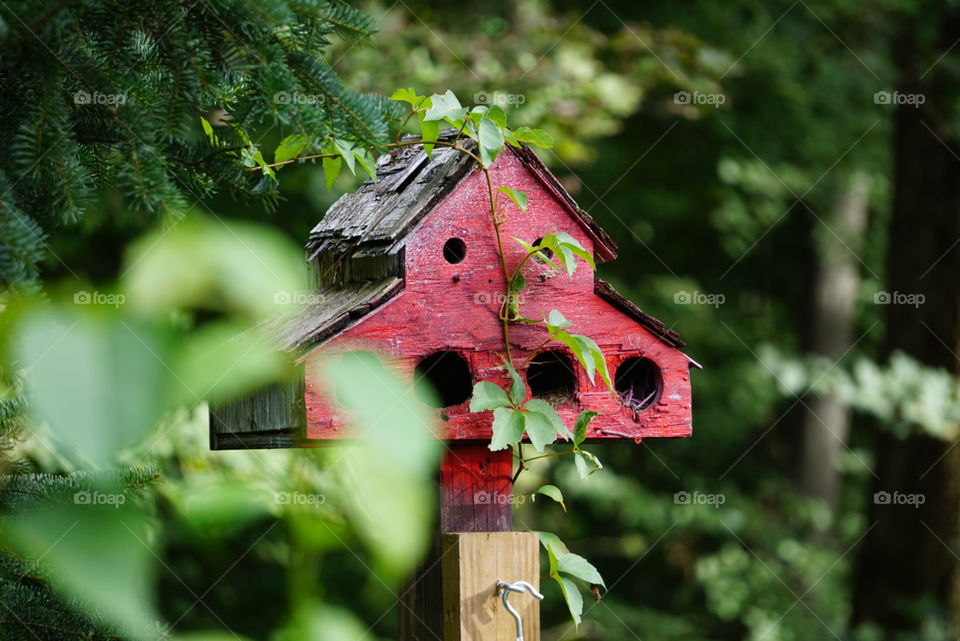 one focal point of a birdhouse