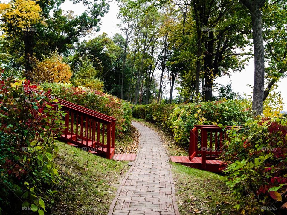 View of a path in garden