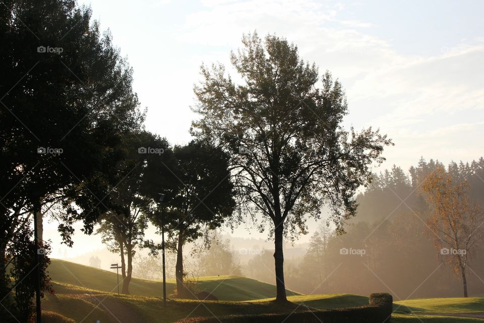 Scenic view of foggy day