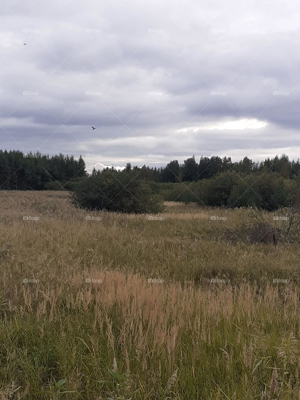 Палитра сентября