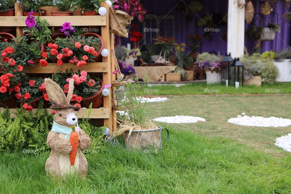 Bunny in garden