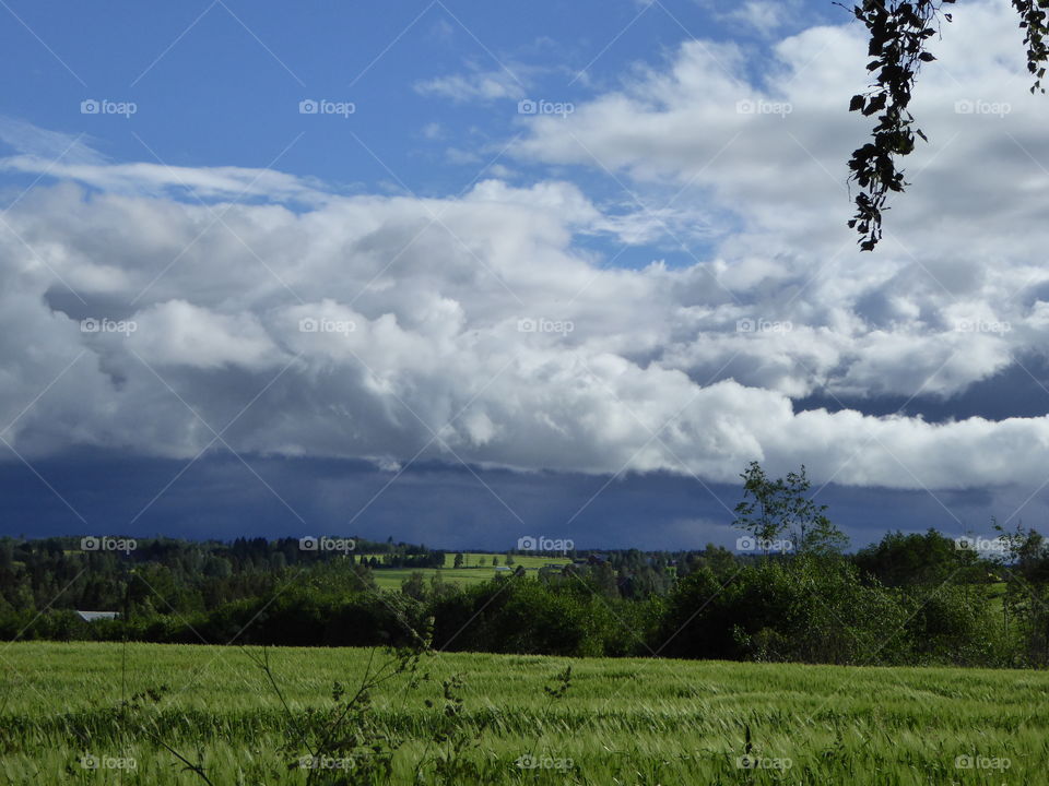 Norwegian summer. Just a nice day.
