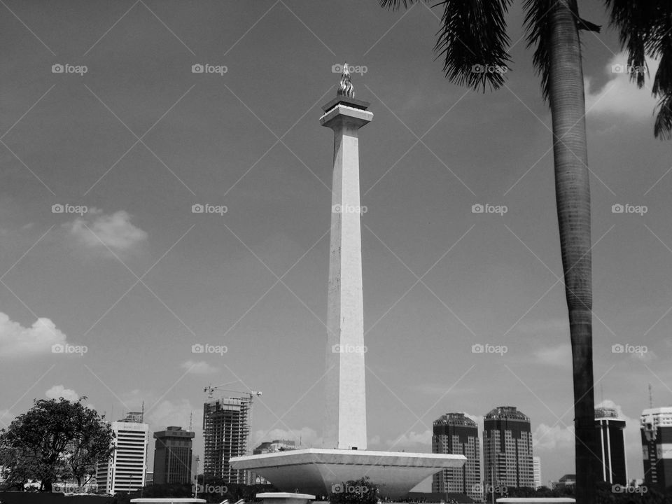 monas