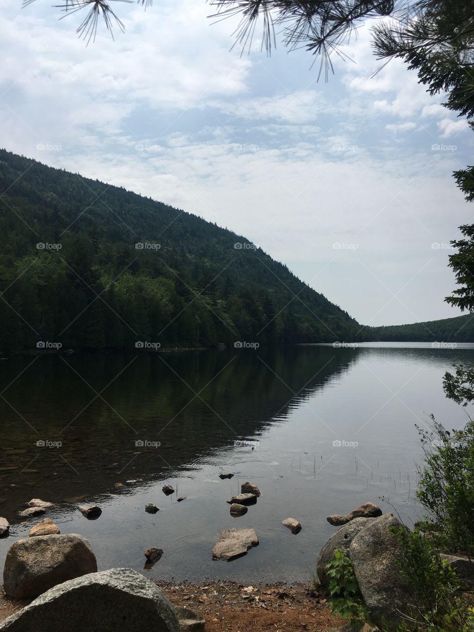 Lake view in Acadia, Maine! 