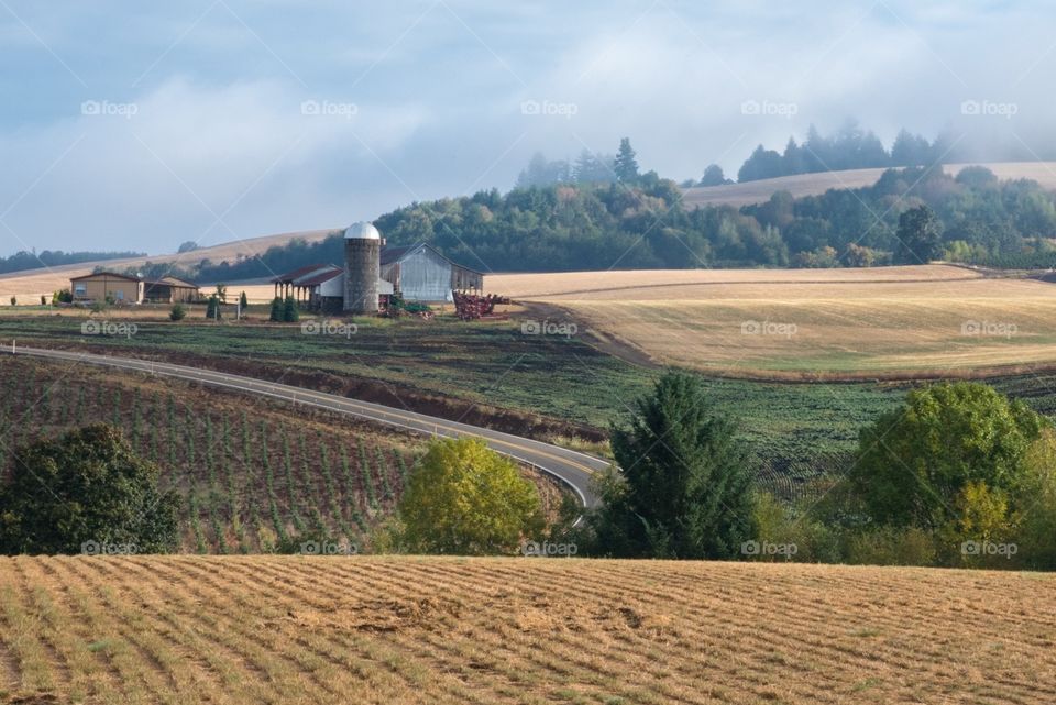 Rolling Hills Farmland in Sublimity, Oregon