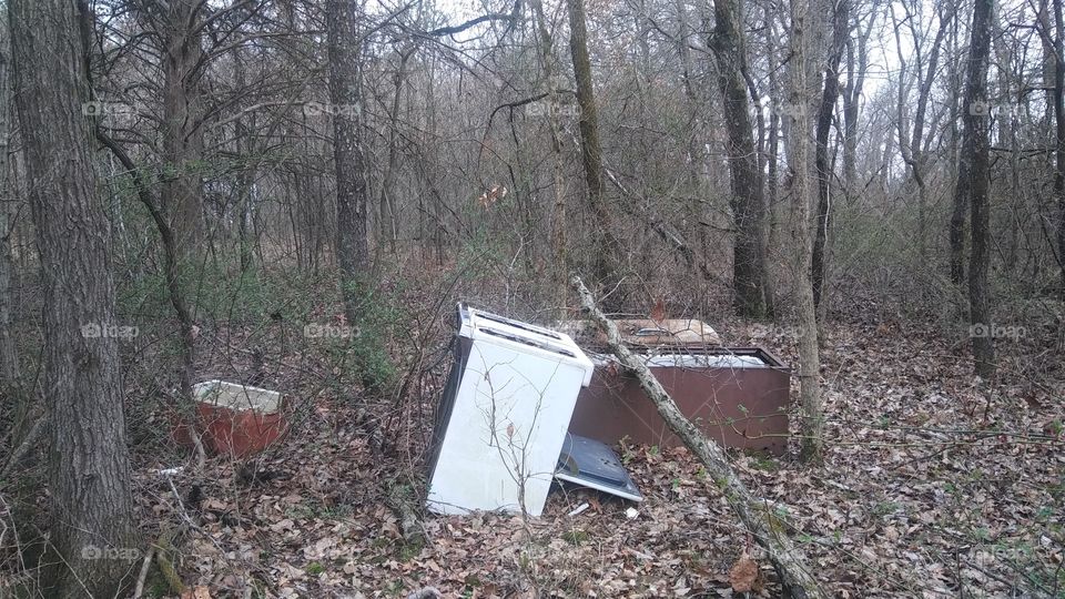 junk in the woods