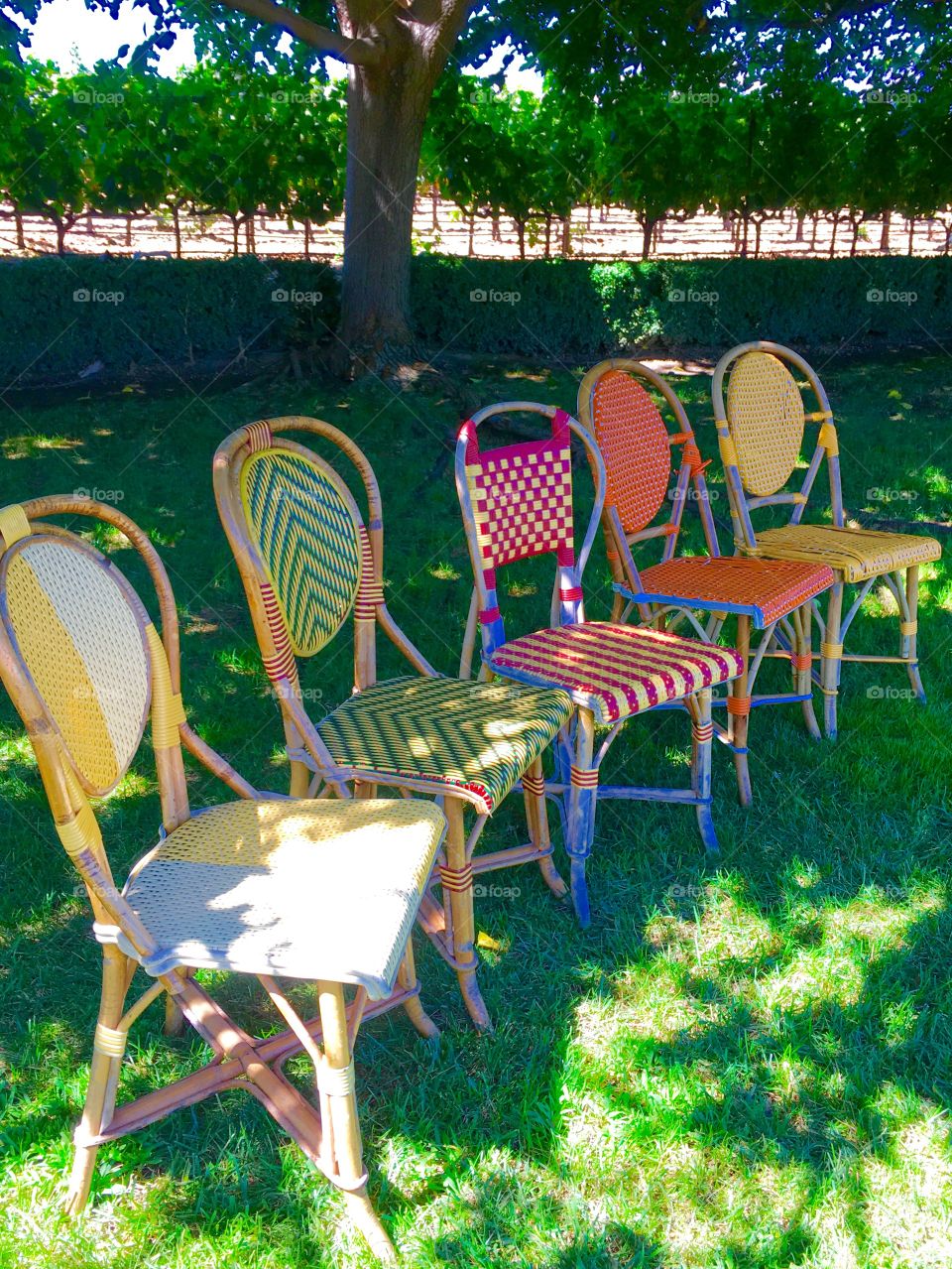 Multi colored wicker chair on grass