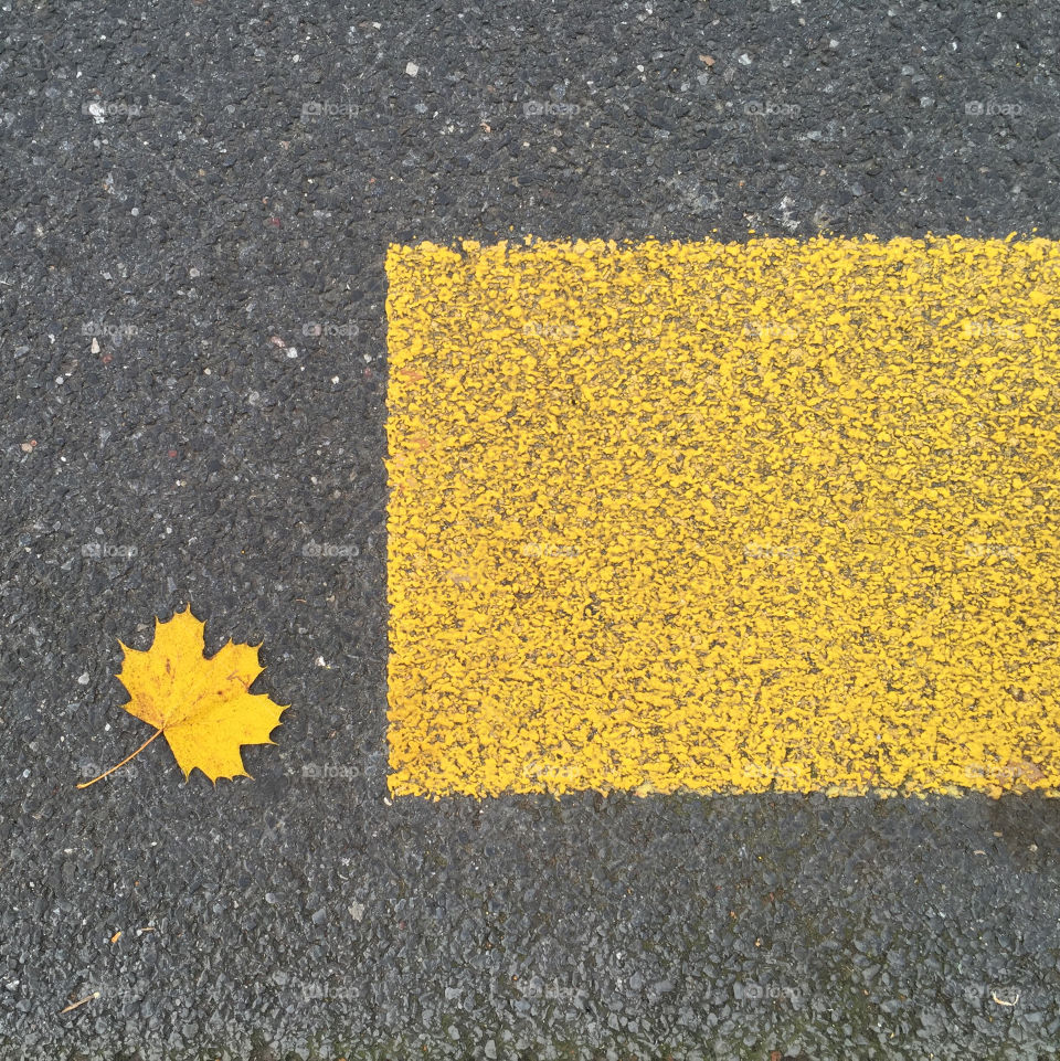 Yellow leaf on the street