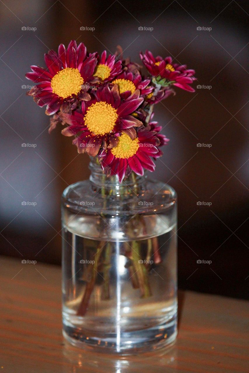 Flower in vase