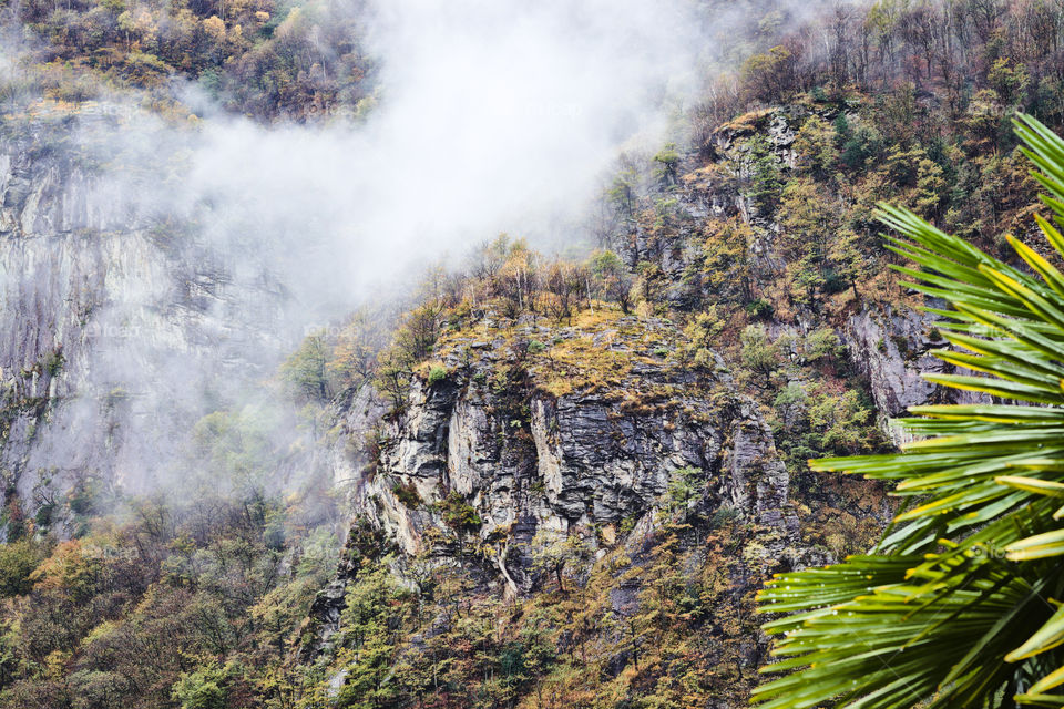 View of cliff and autumn forest in fog.