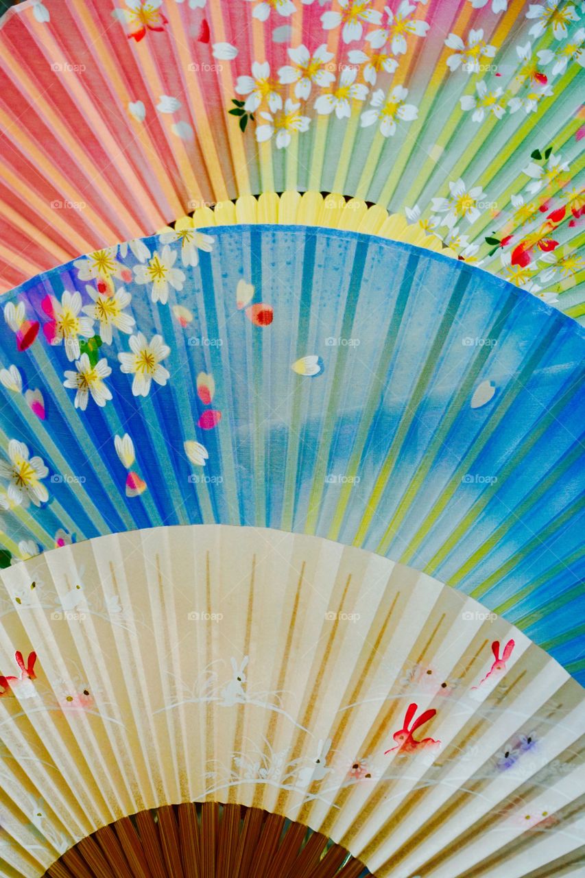 Colourful Japanese fans