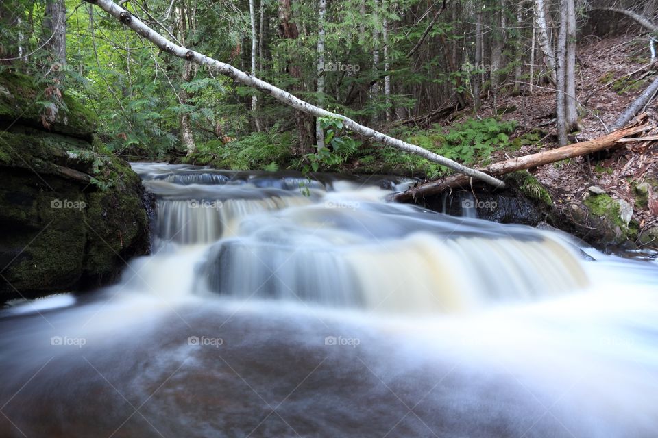Waterfall, Water, River, Creek, Wood