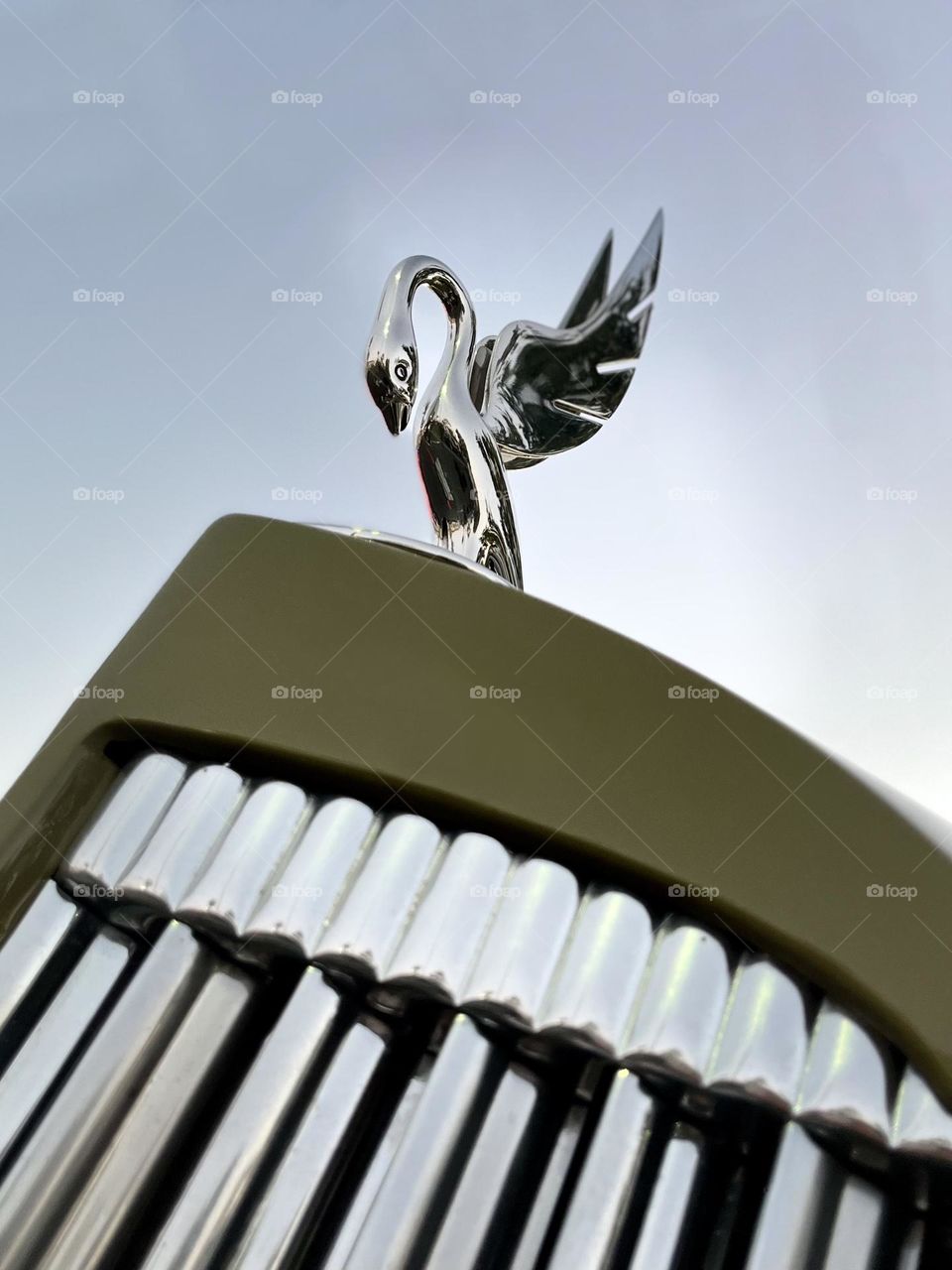 Packard Swan Hood Ornament