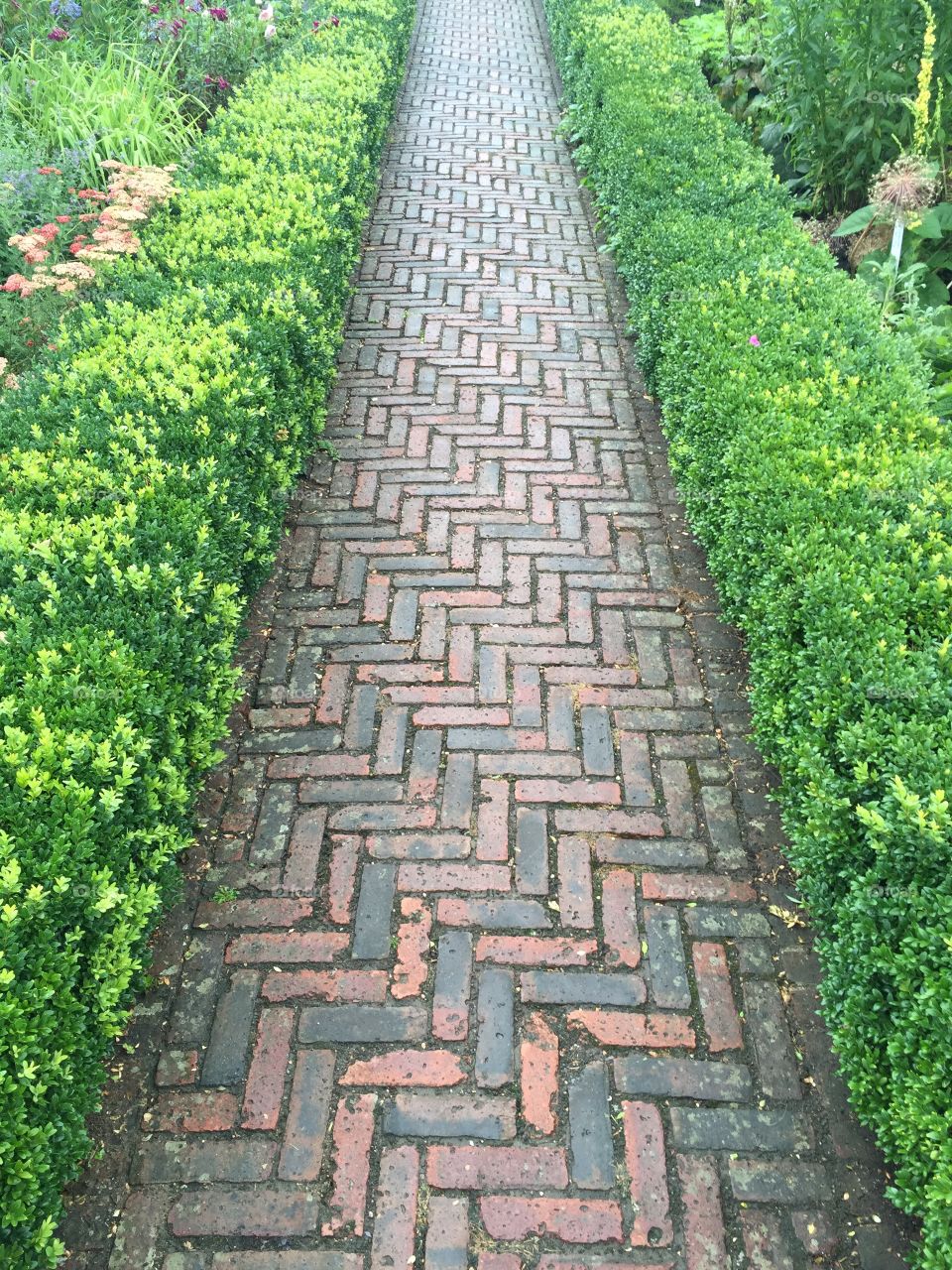 Brick walkway