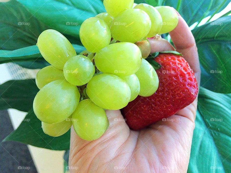 Handful of fruits
