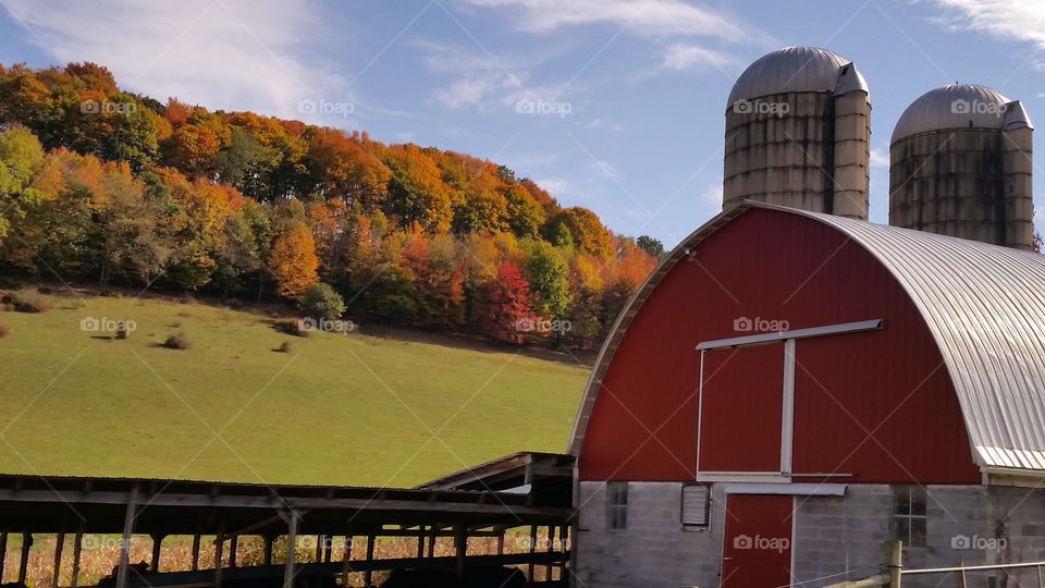 No Person, Outdoors, Agriculture, Architecture, Barn