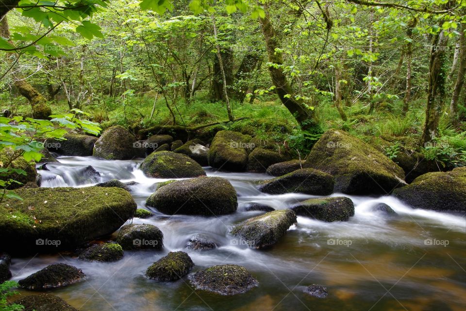 River Bovey