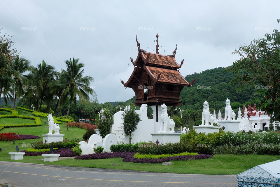   Chiangmai 🇹🇭 Thailand 