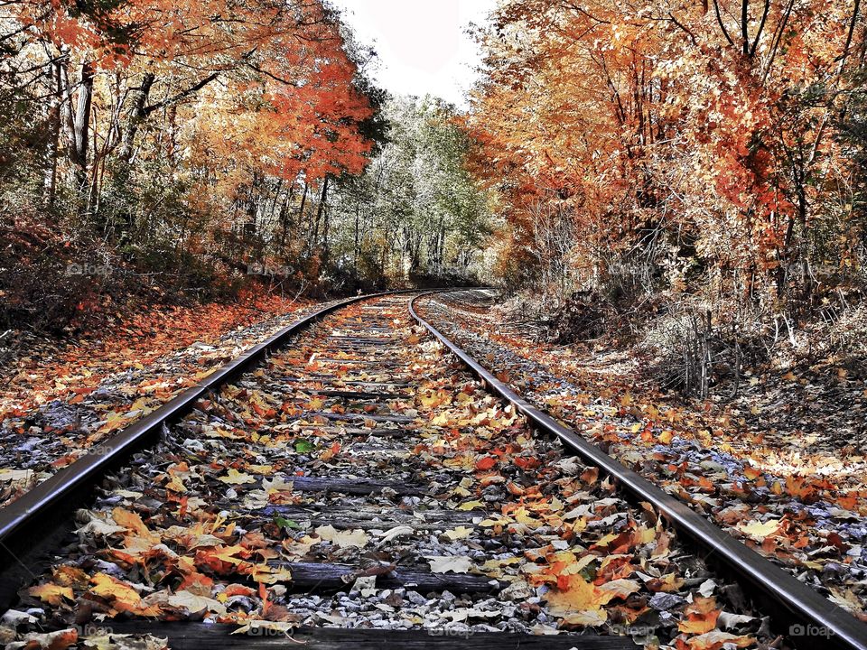 Fall down on the old train tracks in Central Indiana 