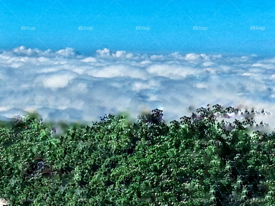 cloud coverd. nature's