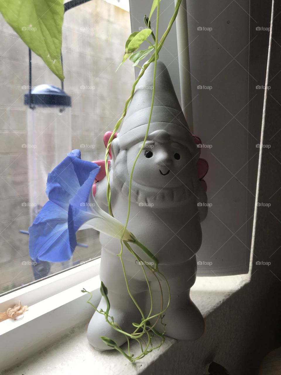 Happy gnome
