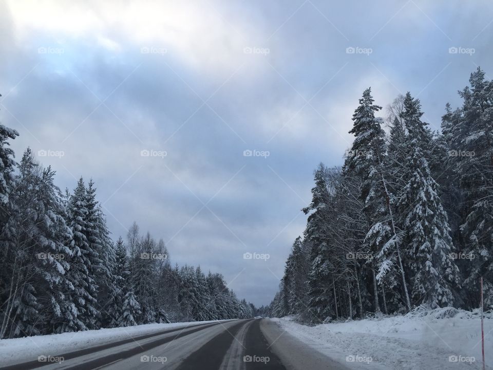 Winter landscape in Sweden.