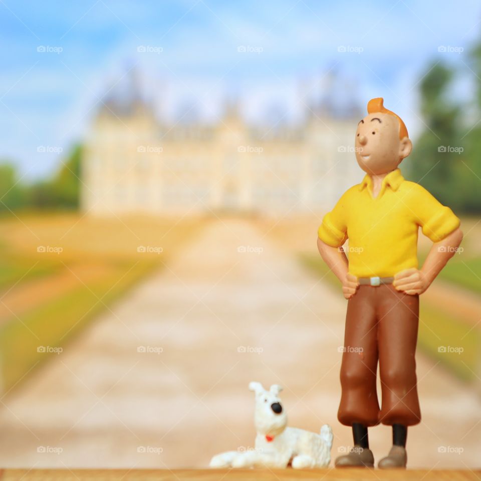 Tintin and Snowy aka Milou, in selfie mode. Tribute to Herge