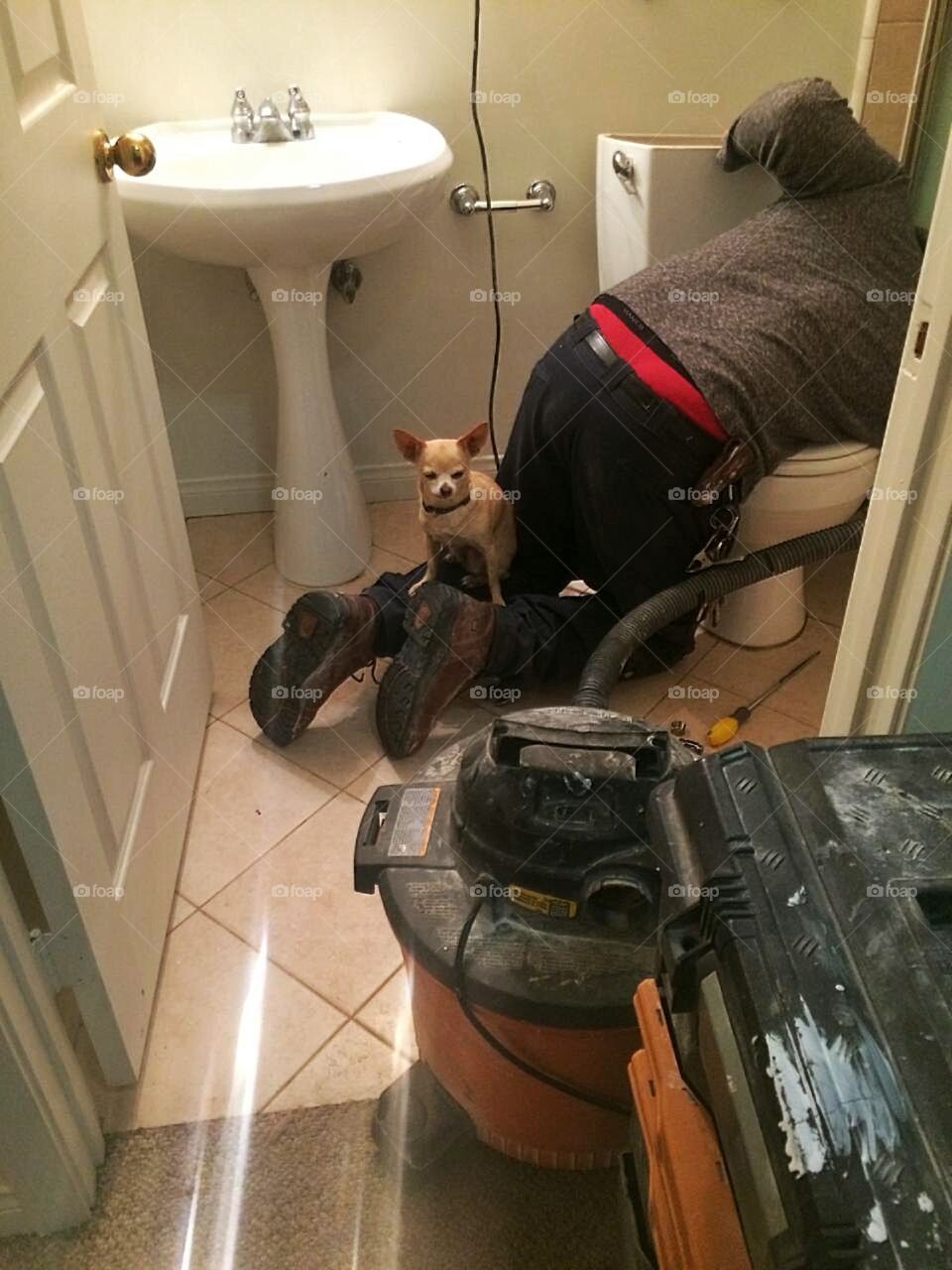 Dog Fruendly Full service Plumber.