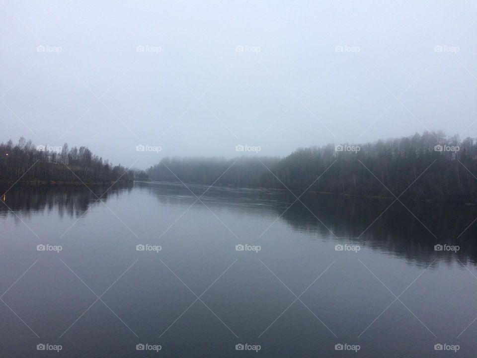 Lake by the forest 