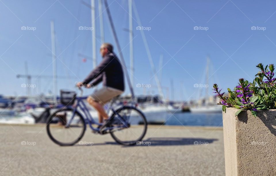 Summer cycling in the harbor