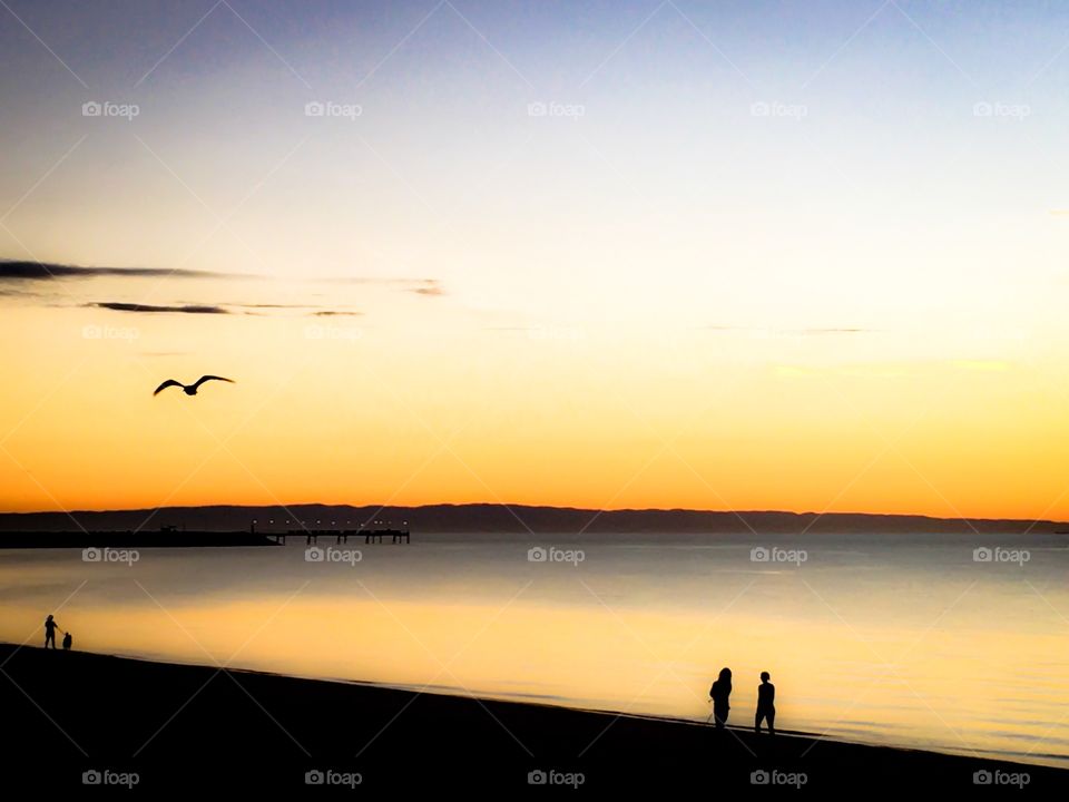 Romantic sunrise, silhouette of couple on ocean beach at dawn and seagulls in flight