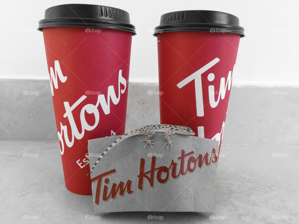 Tim Hortons advertisement complete with lizard mascot