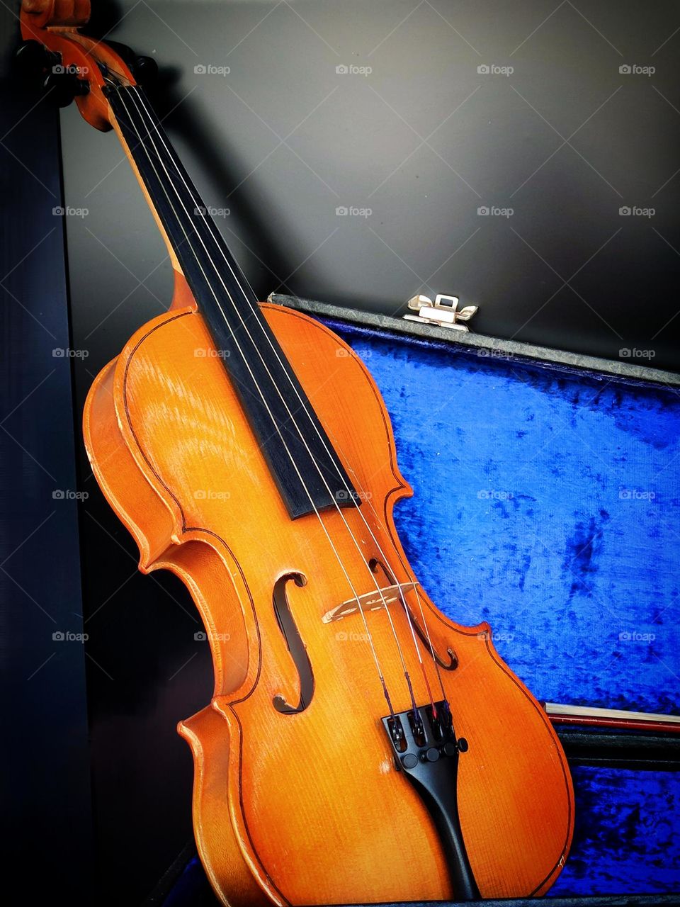 Explosion of color of yellow violin against blue case