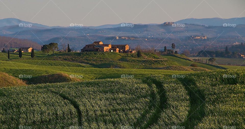 Tuscan countryside 