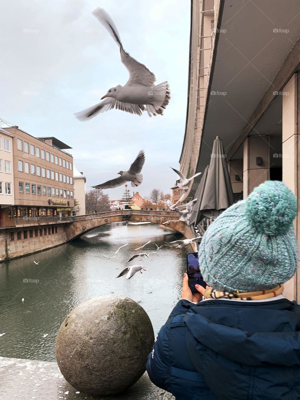 Seagulls in the city 